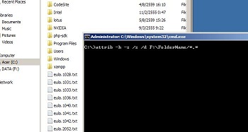 How to show hidden file/folder by command run
