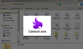 caesium download